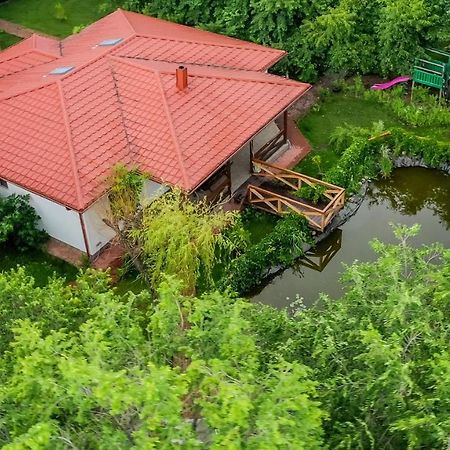 Casa Arcadia 1 Piscina,Jacuzzi, Sauna Buzău Exteriör bild