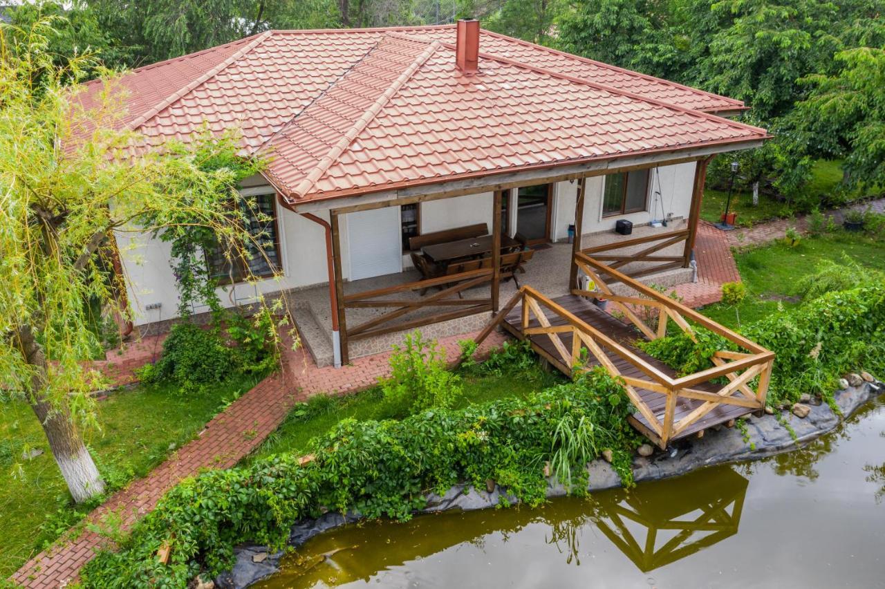 Casa Arcadia 1 Piscina,Jacuzzi, Sauna Buzău Exteriör bild