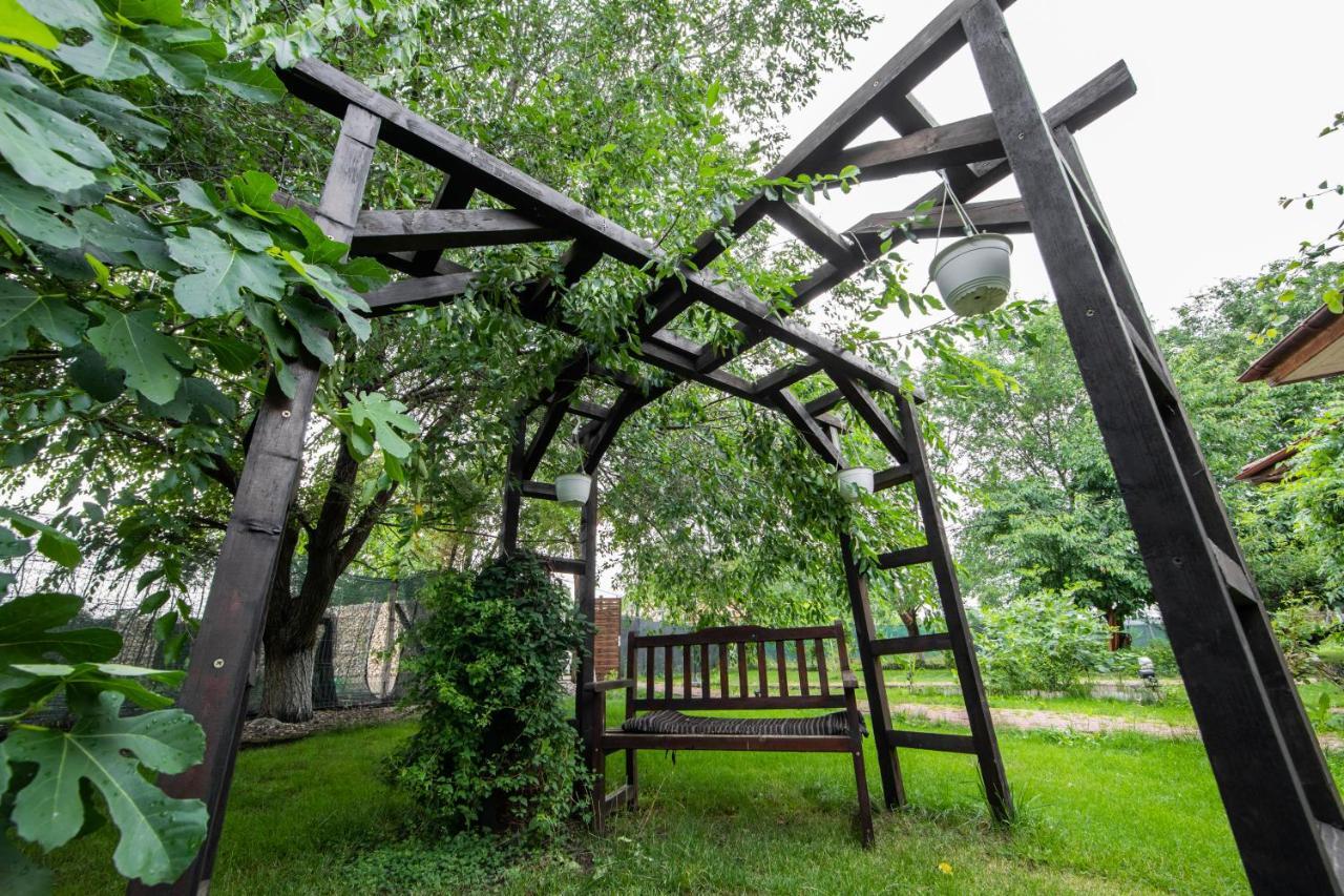 Casa Arcadia 1 Piscina,Jacuzzi, Sauna Buzău Exteriör bild