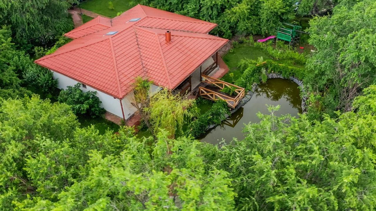 Casa Arcadia 1 Piscina,Jacuzzi, Sauna Buzău Exteriör bild