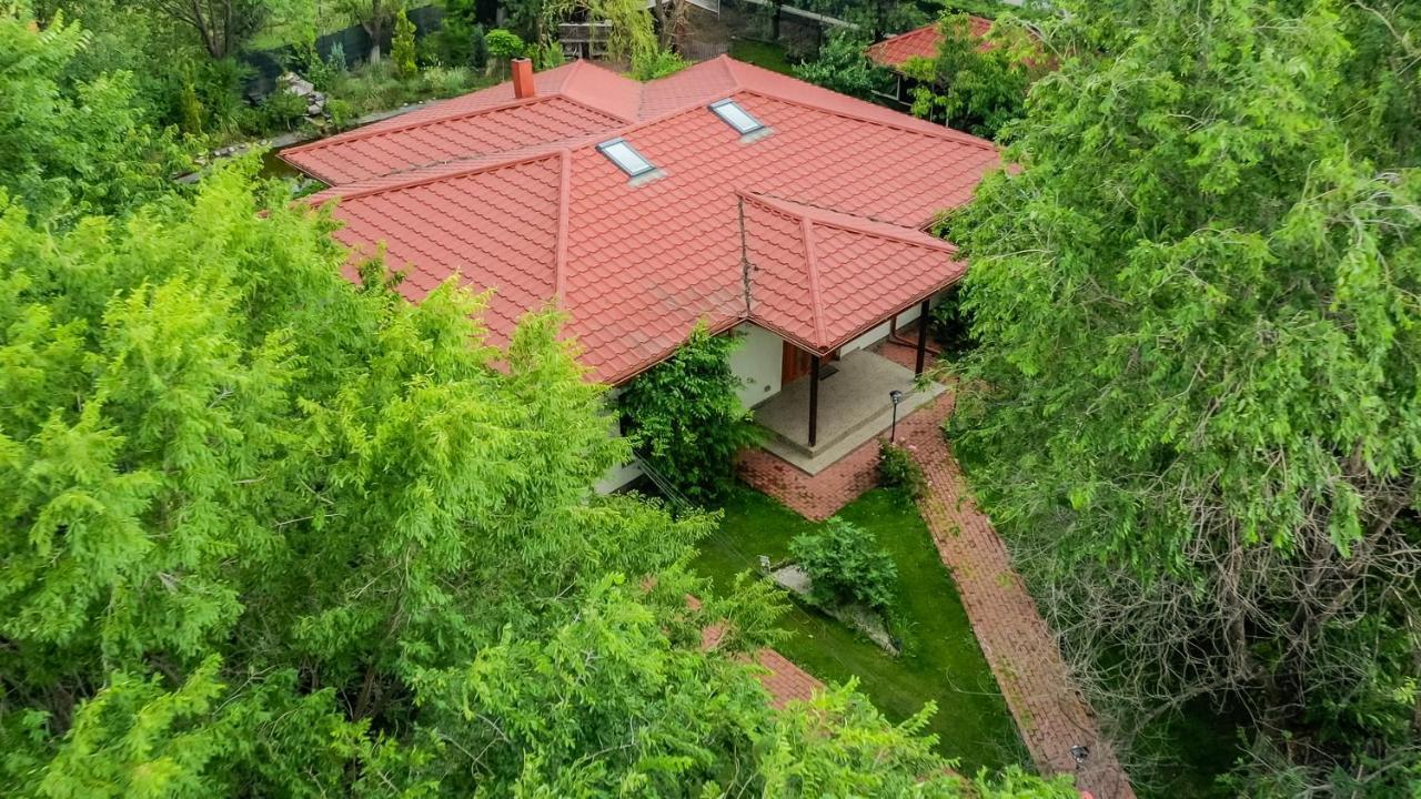 Casa Arcadia 1 Piscina,Jacuzzi, Sauna Buzău Exteriör bild