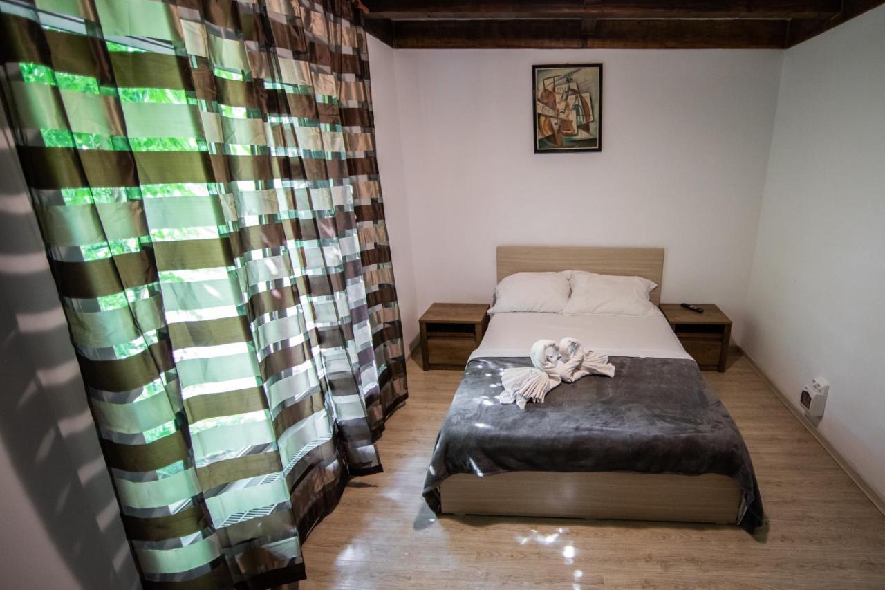 Casa Arcadia 1 Piscina,Jacuzzi, Sauna Buzău Exteriör bild