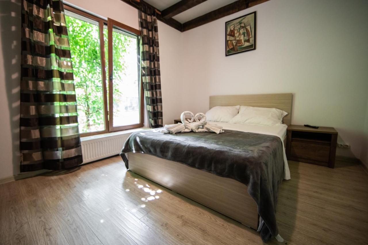 Casa Arcadia 1 Piscina,Jacuzzi, Sauna Buzău Exteriör bild