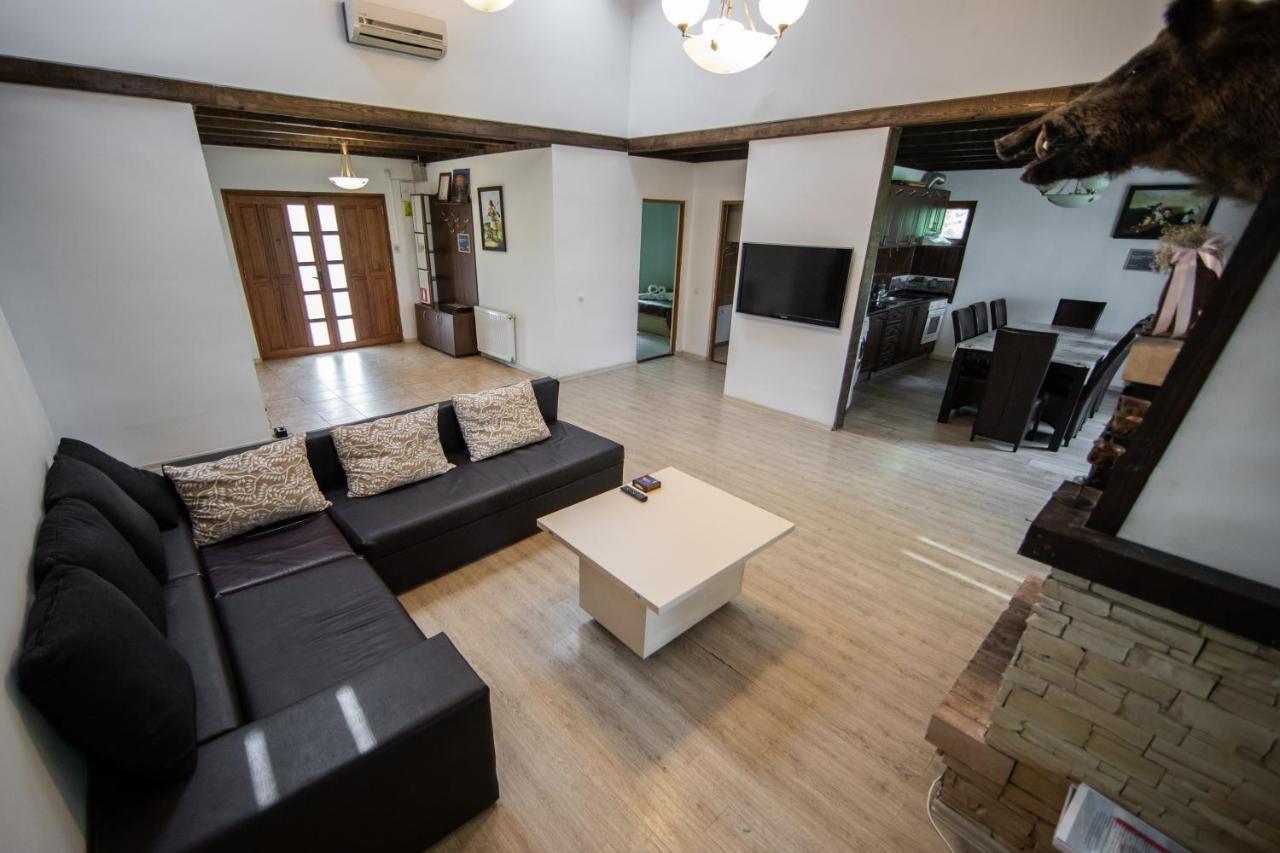 Casa Arcadia 1 Piscina,Jacuzzi, Sauna Buzău Exteriör bild