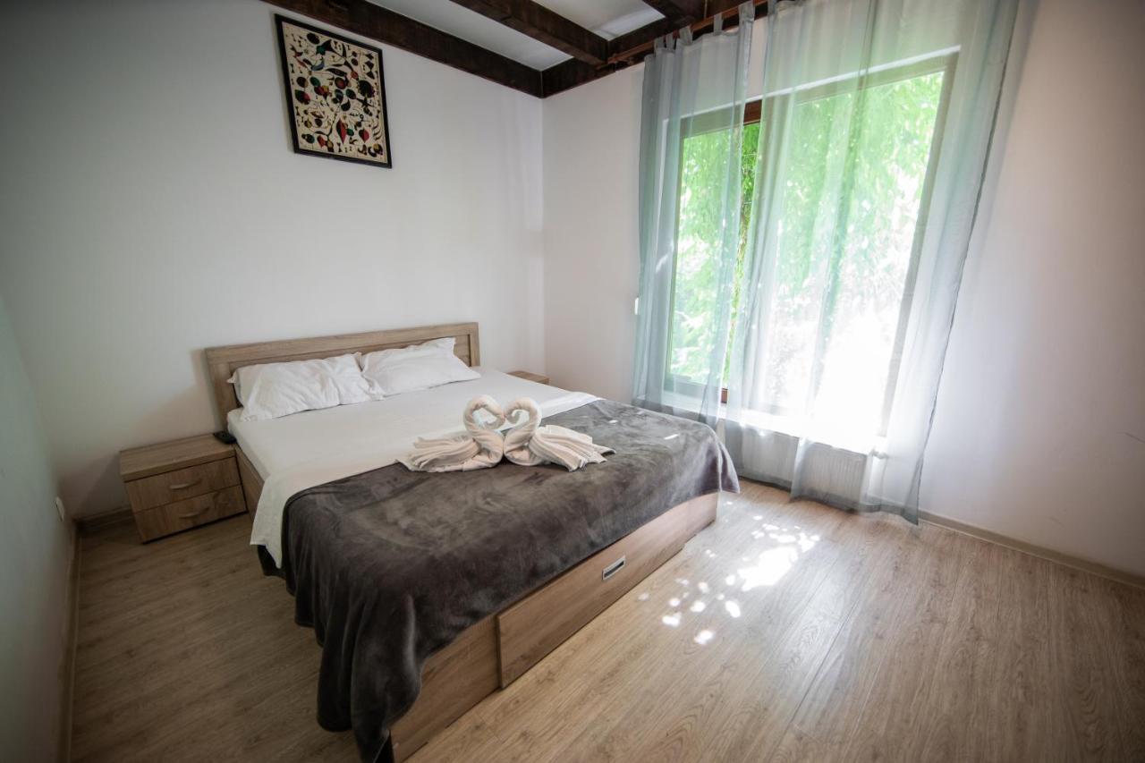 Casa Arcadia 1 Piscina,Jacuzzi, Sauna Buzău Exteriör bild