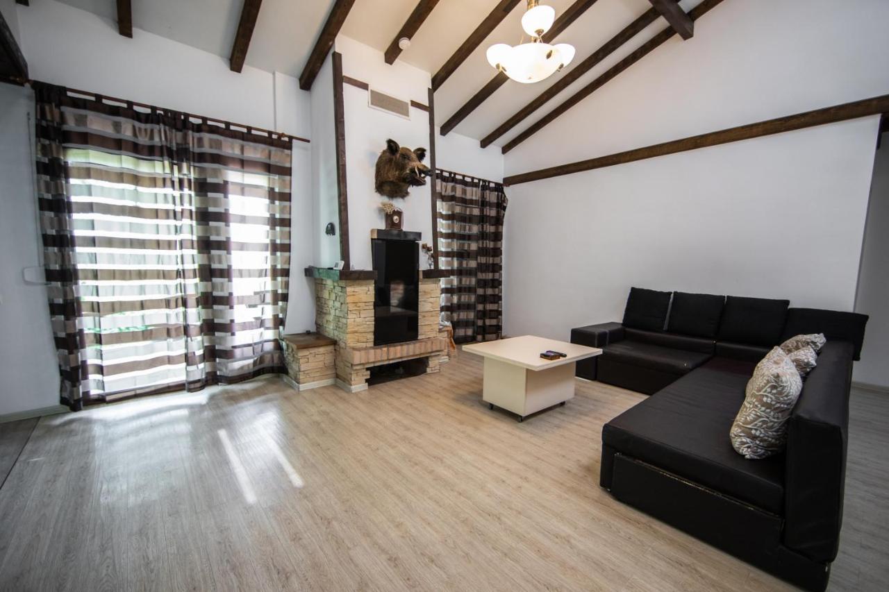 Casa Arcadia 1 Piscina,Jacuzzi, Sauna Buzău Exteriör bild