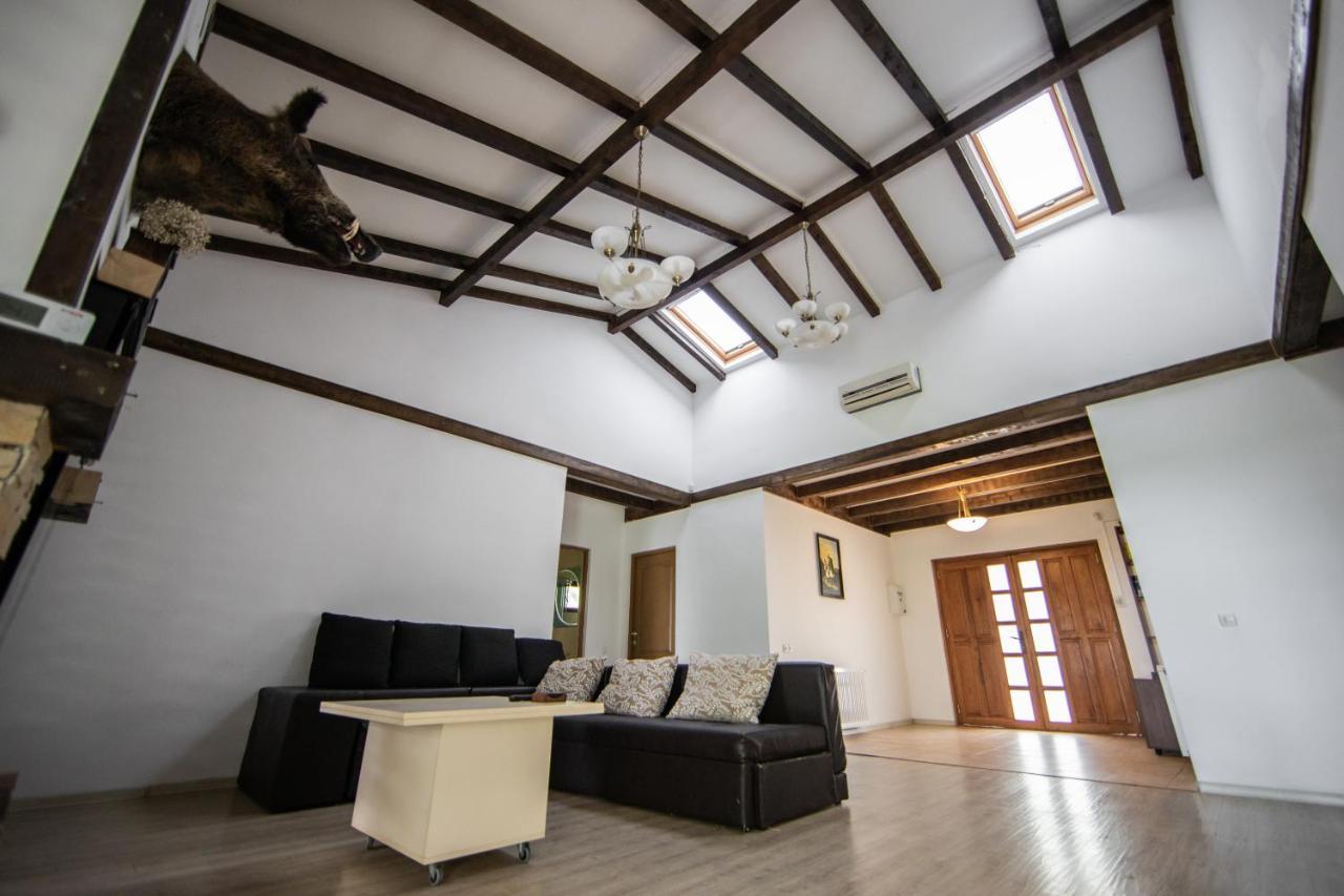 Casa Arcadia 1 Piscina,Jacuzzi, Sauna Buzău Exteriör bild