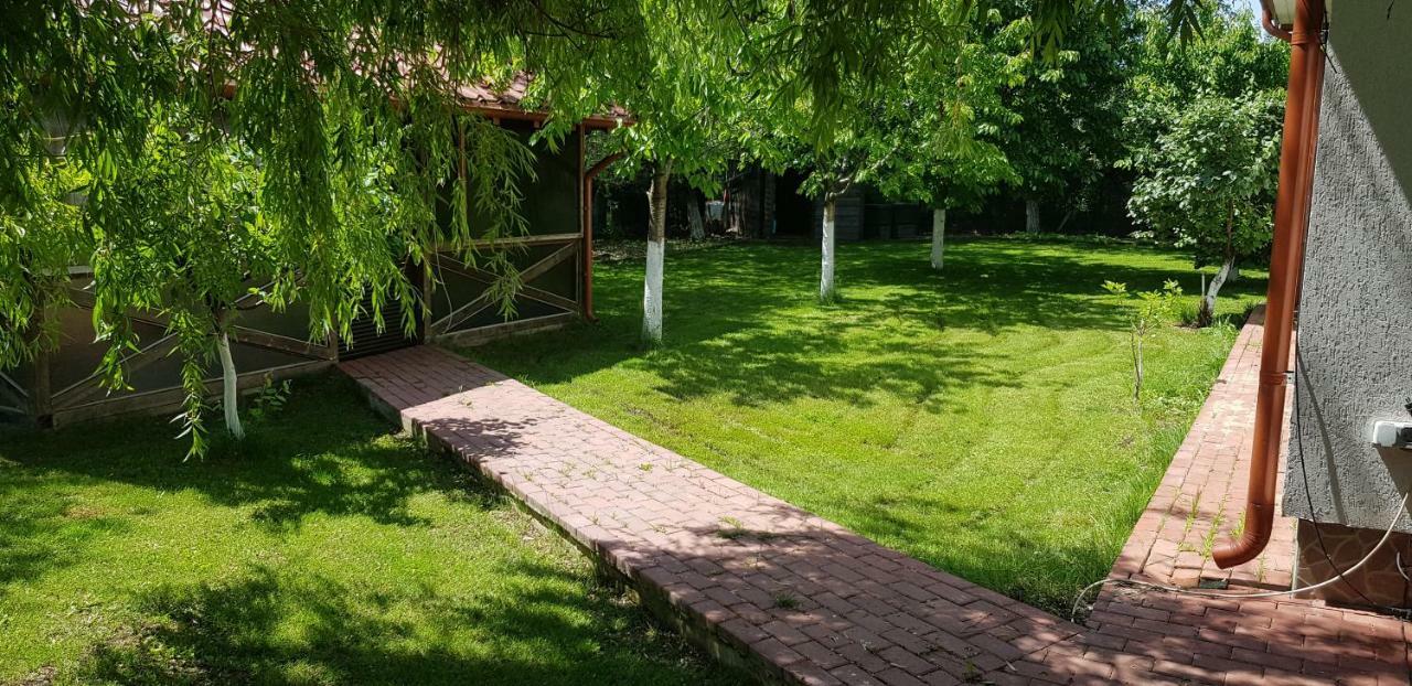 Casa Arcadia 1 Piscina,Jacuzzi, Sauna Buzău Exteriör bild