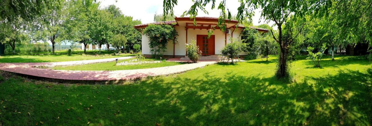 Casa Arcadia 1 Piscina,Jacuzzi, Sauna Buzău Exteriör bild